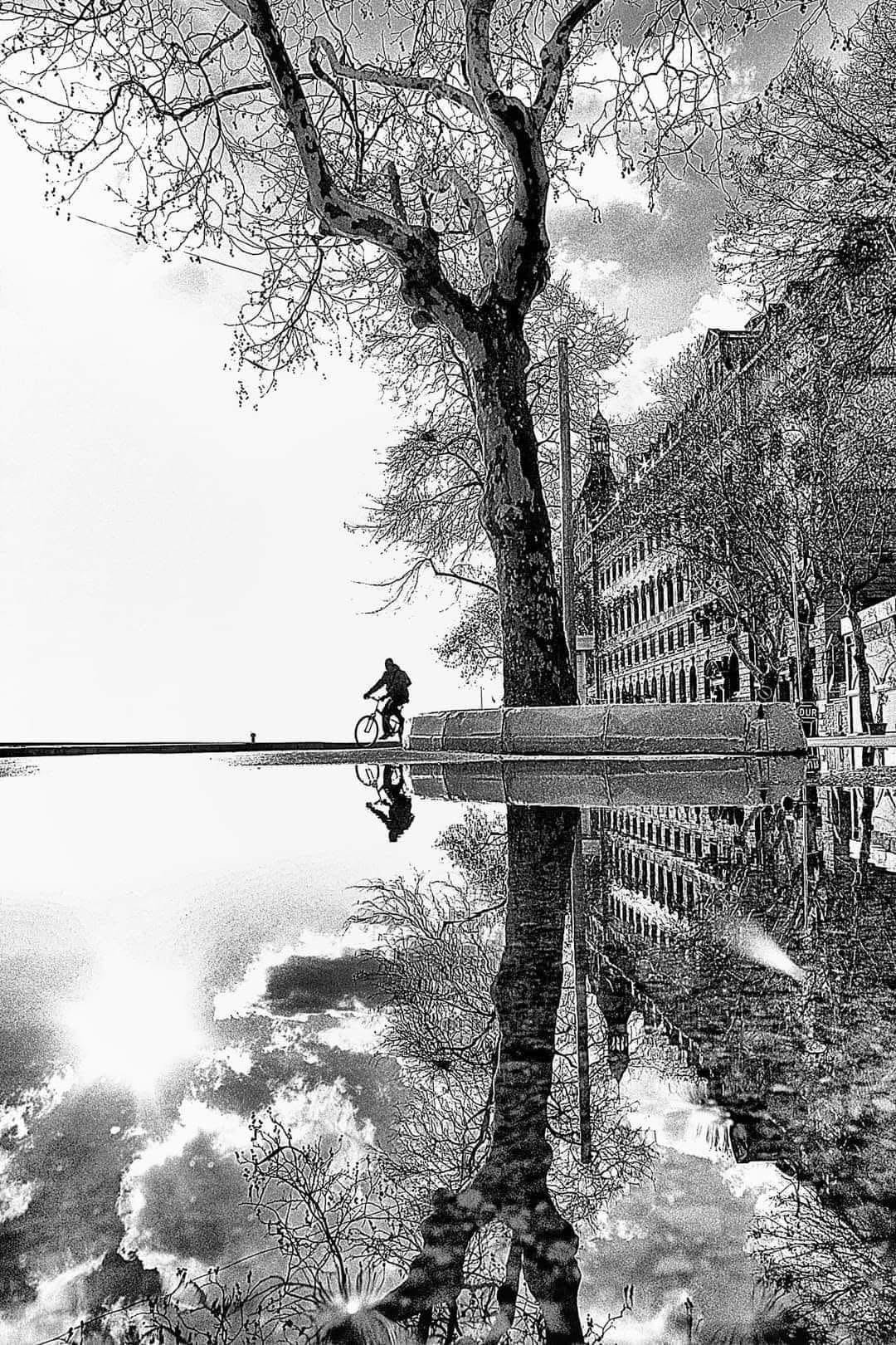 The image is a black and white photograph capturing a serene urban scene. A cyclist is seen riding along a bridge, which is elevated above a body of water. The bridge's railing is visible, providing a sense of safety and structure. Below the bridge, a tree with bare branches stretches upwards, its reflection mirrored perfectly in the calm water beneath. The reflection creates a symmetrical visual effect, enhancing the tranquility of the scene. In the background, buildings and more trees can be seen, adding depth and context to the urban environment. The overall mood of the image is peaceful, with the stillness of the water and the solitary cyclist contributing to a sense of quiet contemplation.